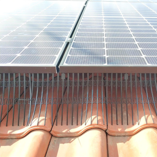 Dachreinigung & Taubenschutz für Ihre PV-Anlage
